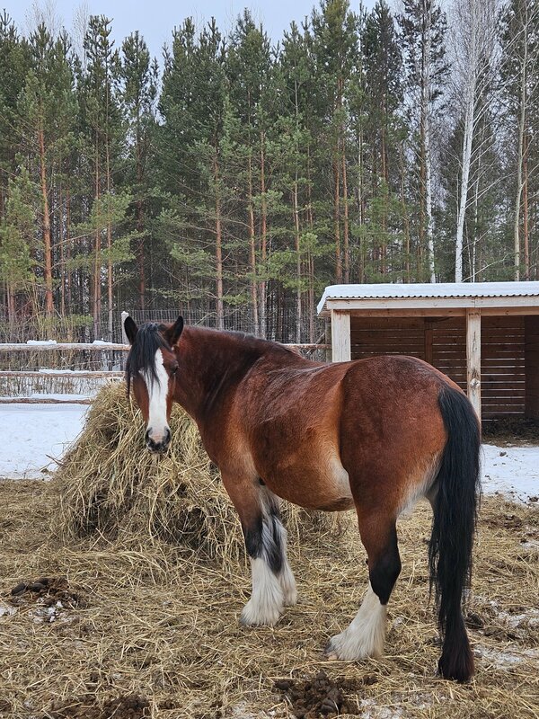 Экопарк Боровое, фотография 36