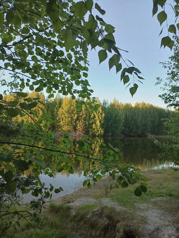 Экопарк Боровое, фотография 81