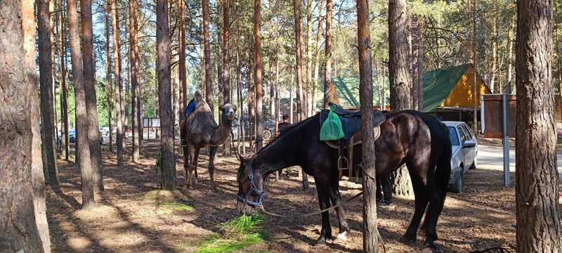 Экопарк Боровое, фотография 97