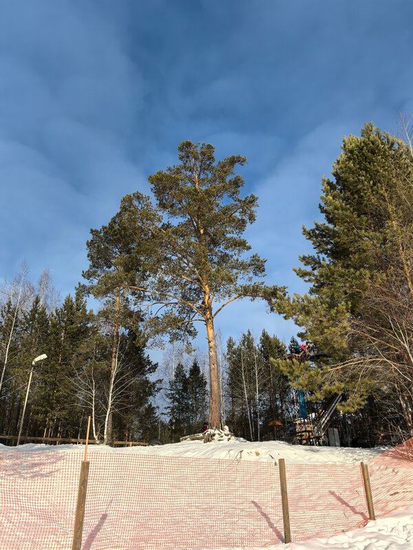 Экопарк Боровое, фотография 112