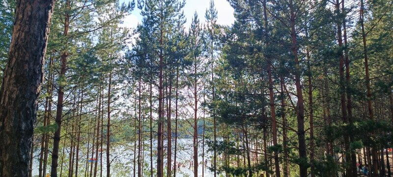 Экопарк Боровое, фотография 145