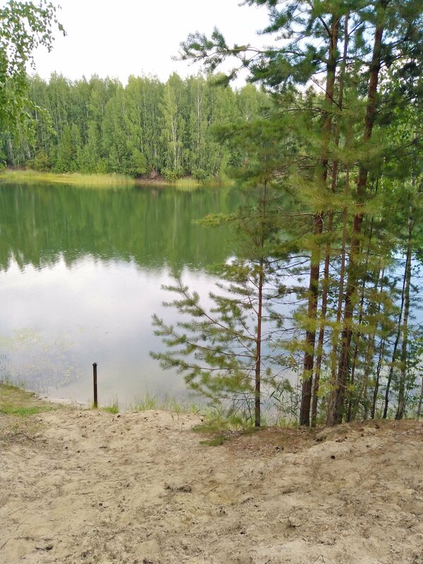 Экопарк Боровое, фотография 151