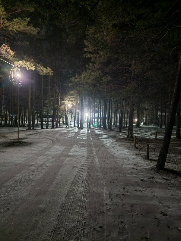 Экопарк Боровое, фотография 159