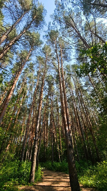 Экопарк Боровое, фотография 174